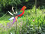 image06