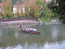 image11