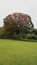 image109