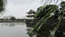 image113