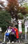 image37