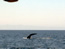 image12