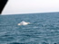 image15